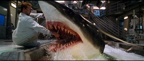 man shark movie.